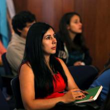 opioides y efectos sobre la conducta