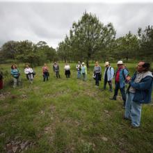 banos-de-bosque-ayudan-a-prevenir-muertes-por-padecimientos-cardiovasculares_2