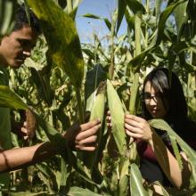 celebra-udeg-60-anos-de-impulsar-la-educacion-agricola-en-jalisco_jam_1