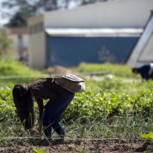 celebra-udeg-60-anos-de-impulsar-la-educacion-agricola-en-jalisco_jam_4