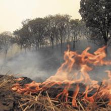 jalisco-en-permanente-peligro-ante-incendios-forestales_1