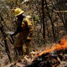 estas_vacaciones_brigadistas_de_la_udeg_se_sumaran_a_operativos_de_vigilancia_contra_incendios_en_la_primavera