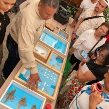 educacion-ambiental-para-la-busqueda-de-fosas-clandestinas_3