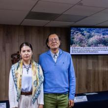 microbioma-del-bosque-la-primavera-con-potencial-para-prevenir-enfermedades_