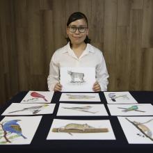 acercan-labor-de-especies-polinizadoras-por-medio-de-la-ilustracion-cientifica_4