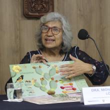 acercan-labor-de-especies-polinizadoras-por-medio-de-la-ilustracion-cientifica_5