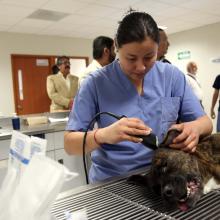 suman-esfuerzos-para-proteger-y-conservar-la-vida-silvestre-en-jalisco_4