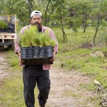 reforestacion_bosque_la_primavera_un_logro_notable_1