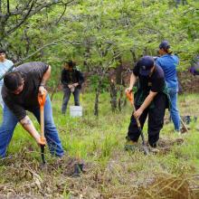 reforestacion_bosque_la_primavera_un_logro_notable_3