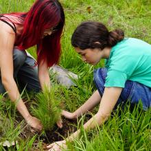 reforestacion_bosque_la_primavera_un_logro_notable_4