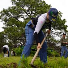 reforestacion_bosque_la_primavera_un_logro_notable_5