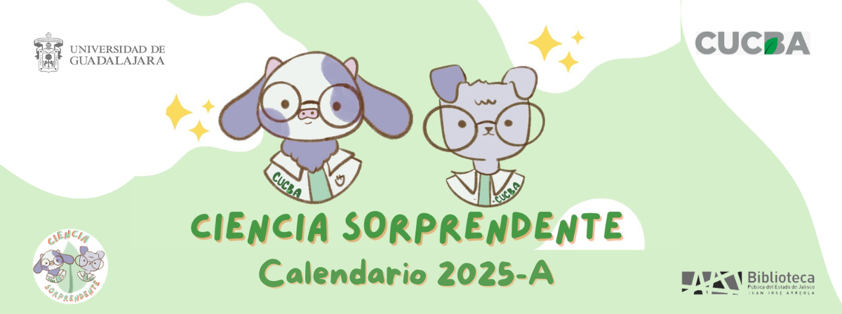 c_sorprendente25A
