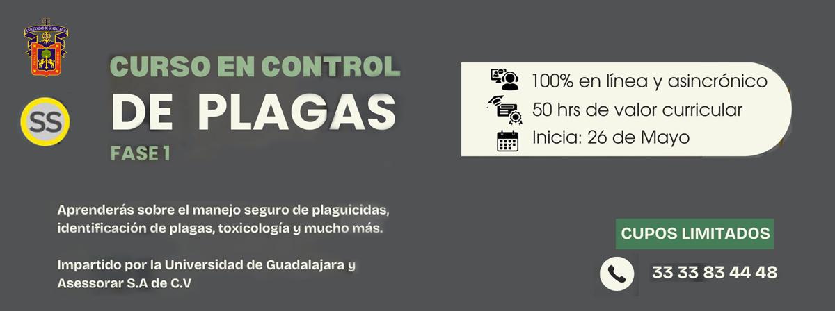 controlplagas25