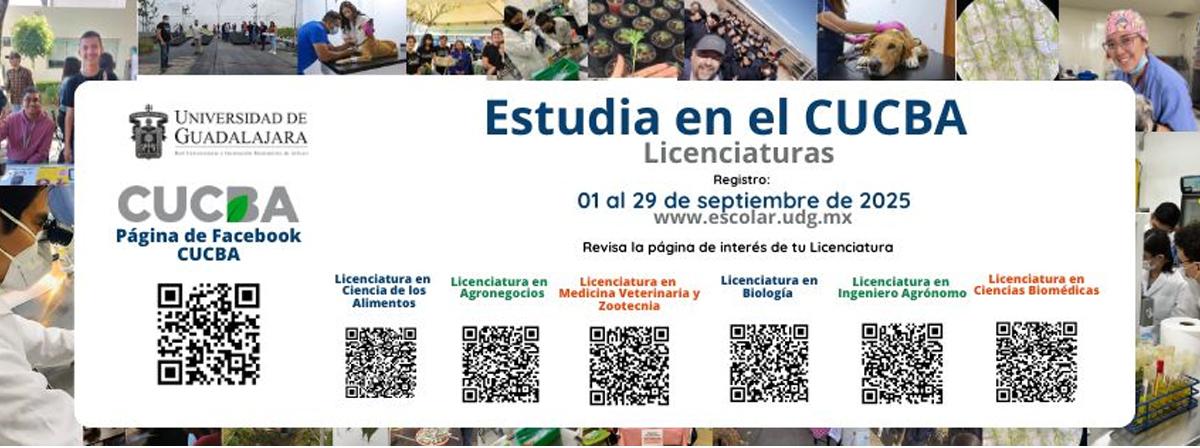 registro calendario 2026A