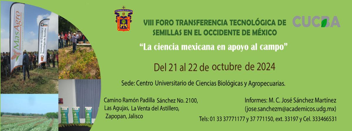 transferencia_semillas24