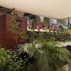 cuarto_congreso_nacional_educacion_ambiental_para_sustentabilidad_1